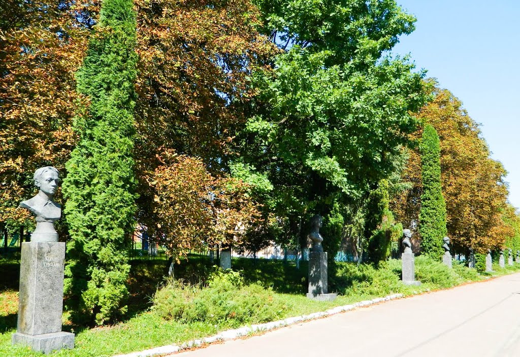 Алея піонерів в Новій Ушиці / Pioneer Avenue in New Ushytsya