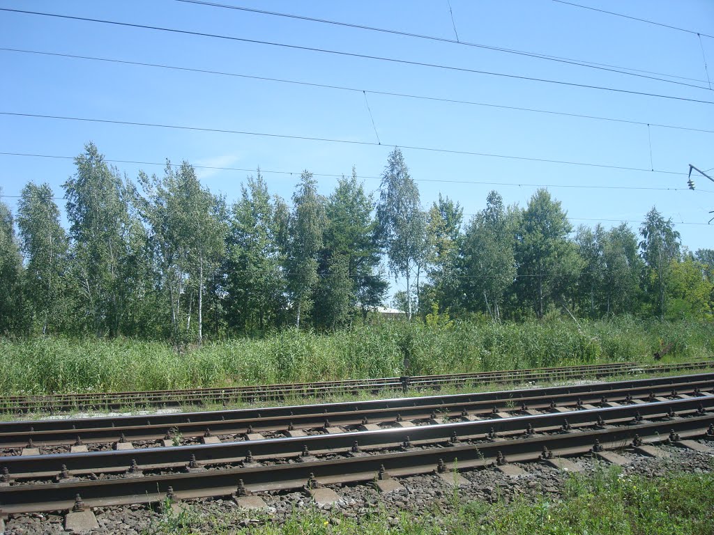 Железнодорожная линия Шепетовка - Бердичев. Перегон Блыдни - Понинка