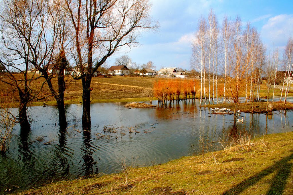 Осень. Заводь р. Хомора.
