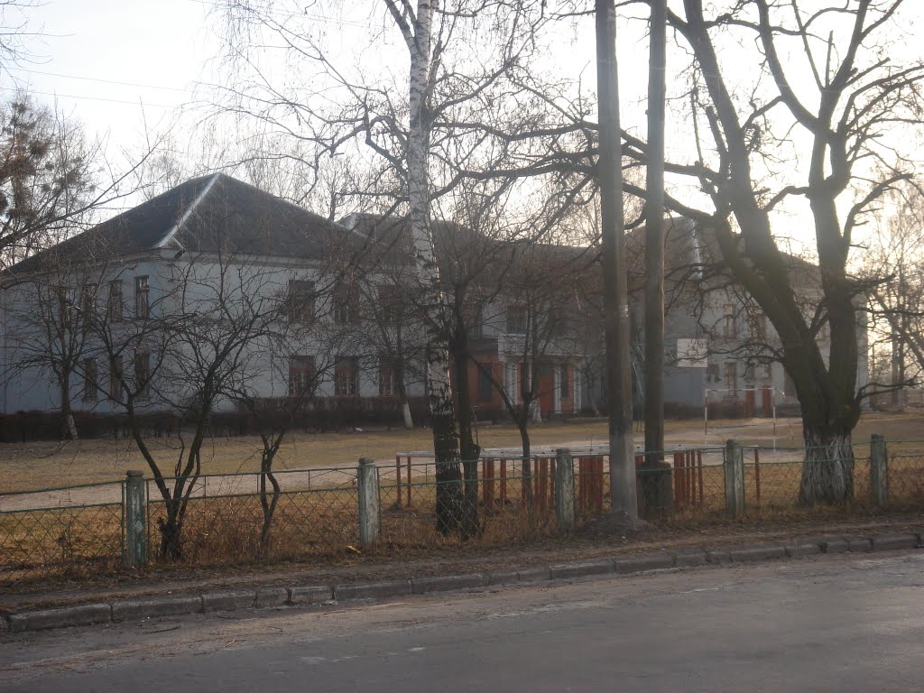 Полонное