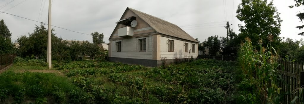 Частный дом