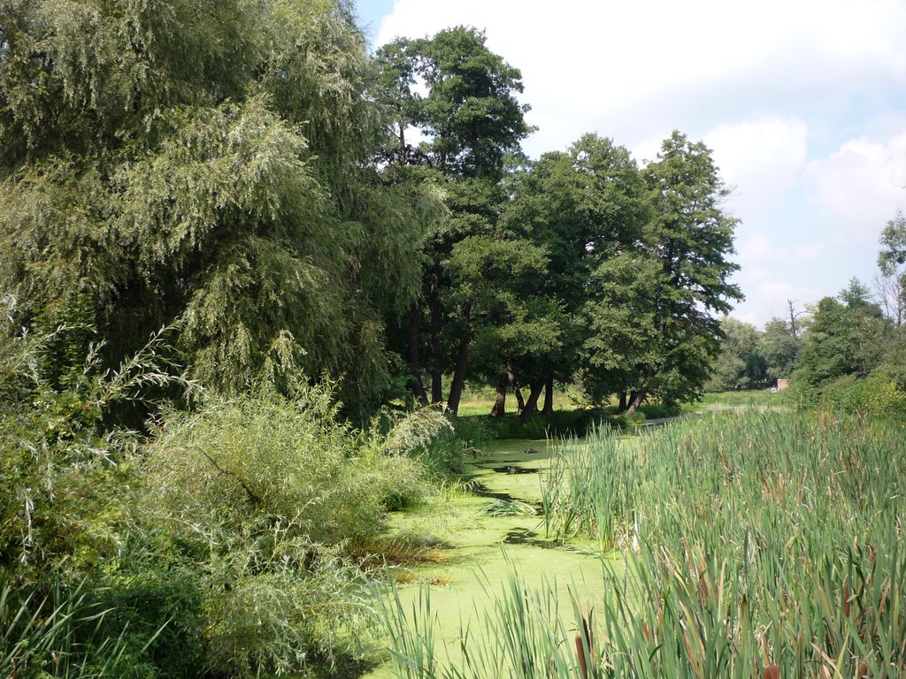 Utka river