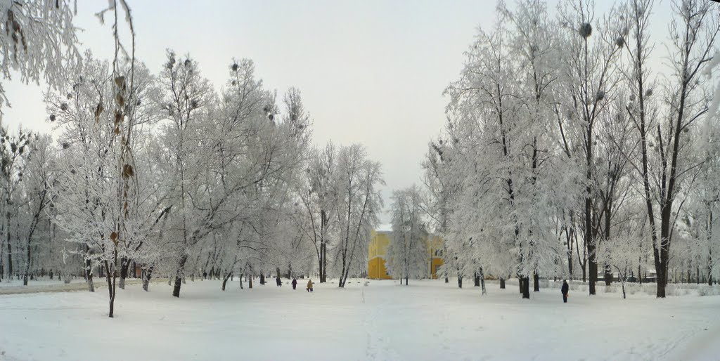 "Дом офицеров", теперь МБК