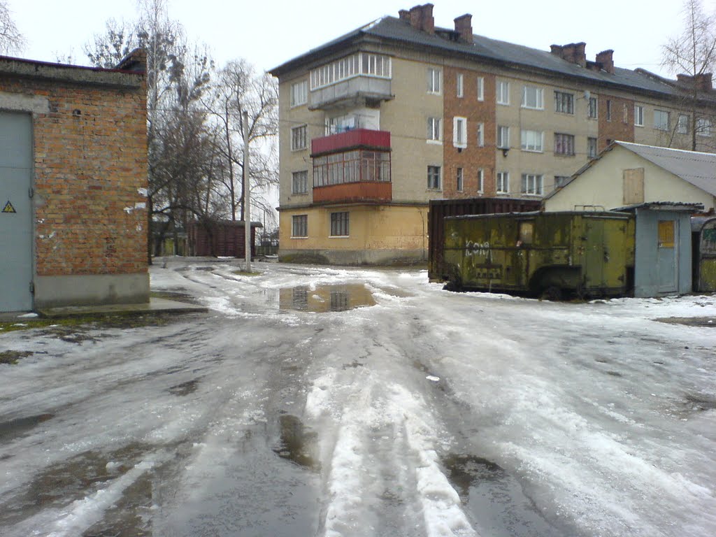Дорога домой