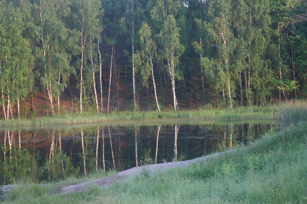 slavuta ucraina