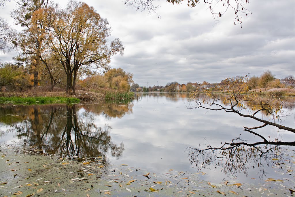 Lake in autumn