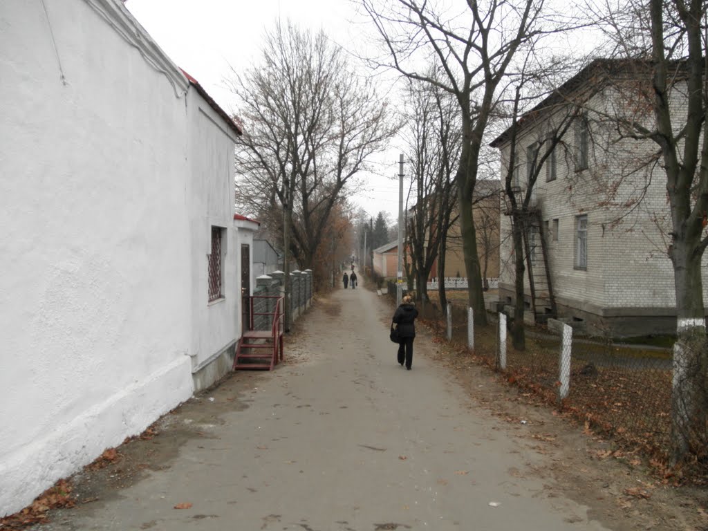 Партизанський провулок