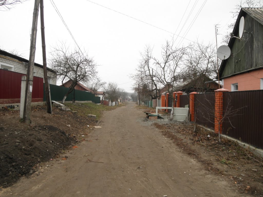 провулок Шалом Алейхема