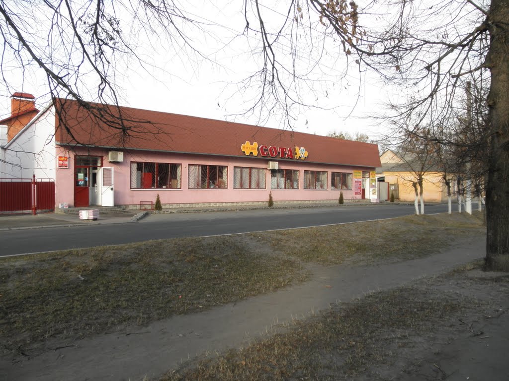 Господарський магазин Сота