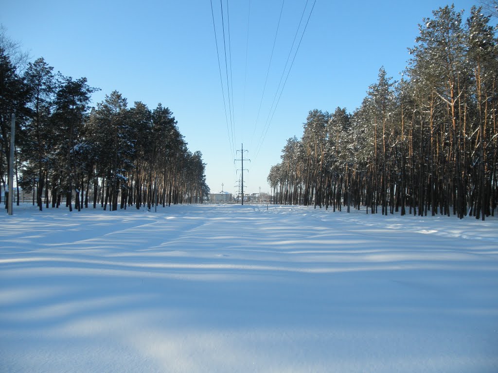 Сонячний зимовий день Вінницька ЛЕП