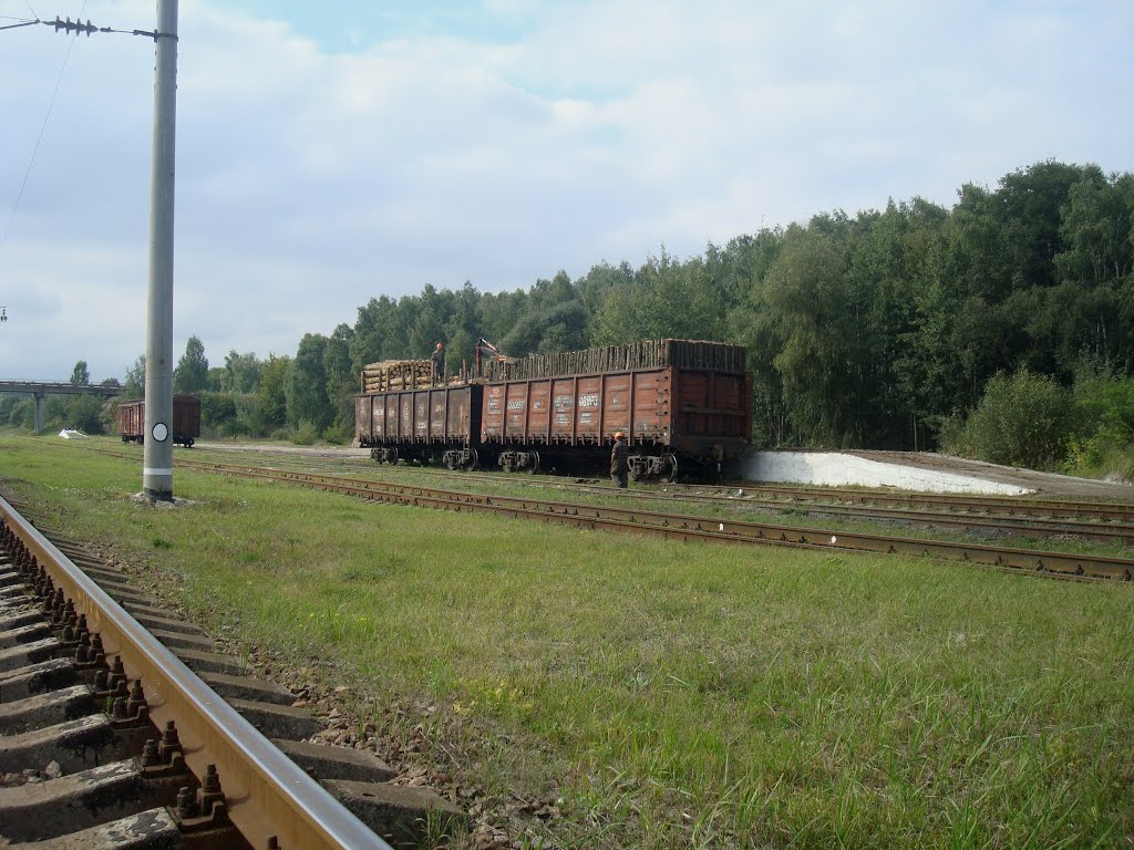 Станция Славута. Грузовая рампа