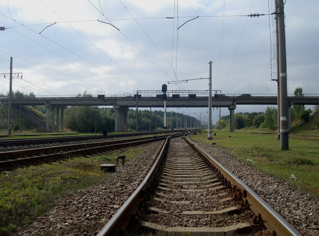 Станция Славута. Путепровод. Вид в сторону Кривина