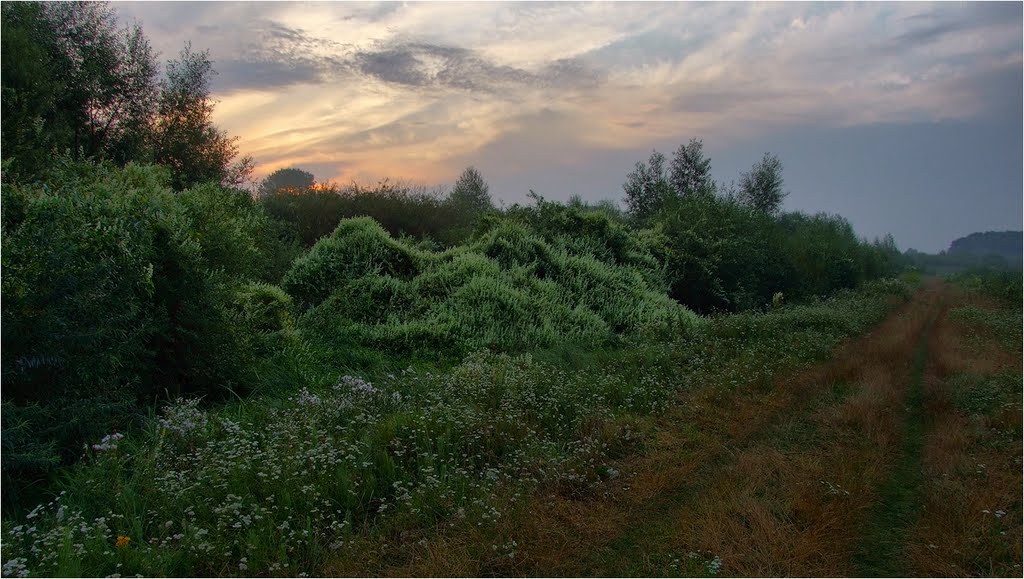 Stara Syniava