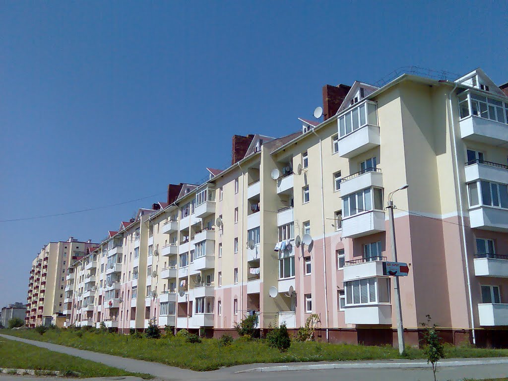 Ул. Попова 4/1 (городок "Авиатор")
