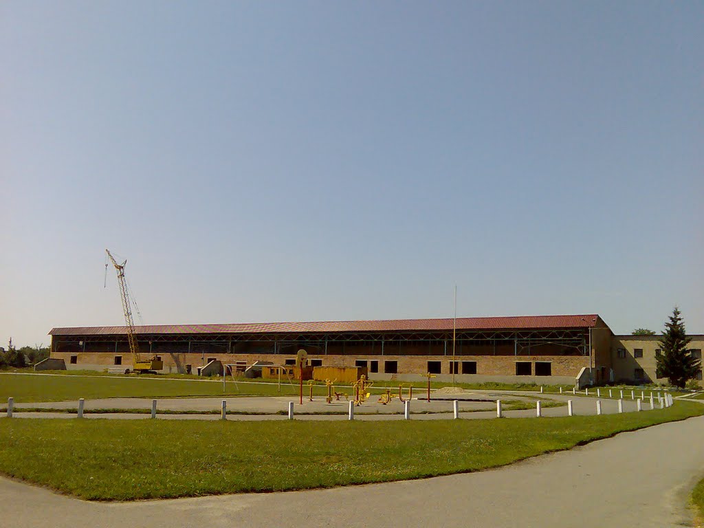Реставрация стадиона.