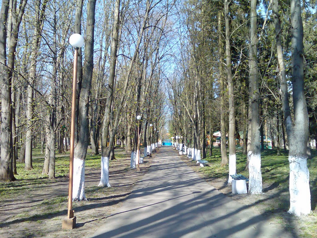 Весенний парк.