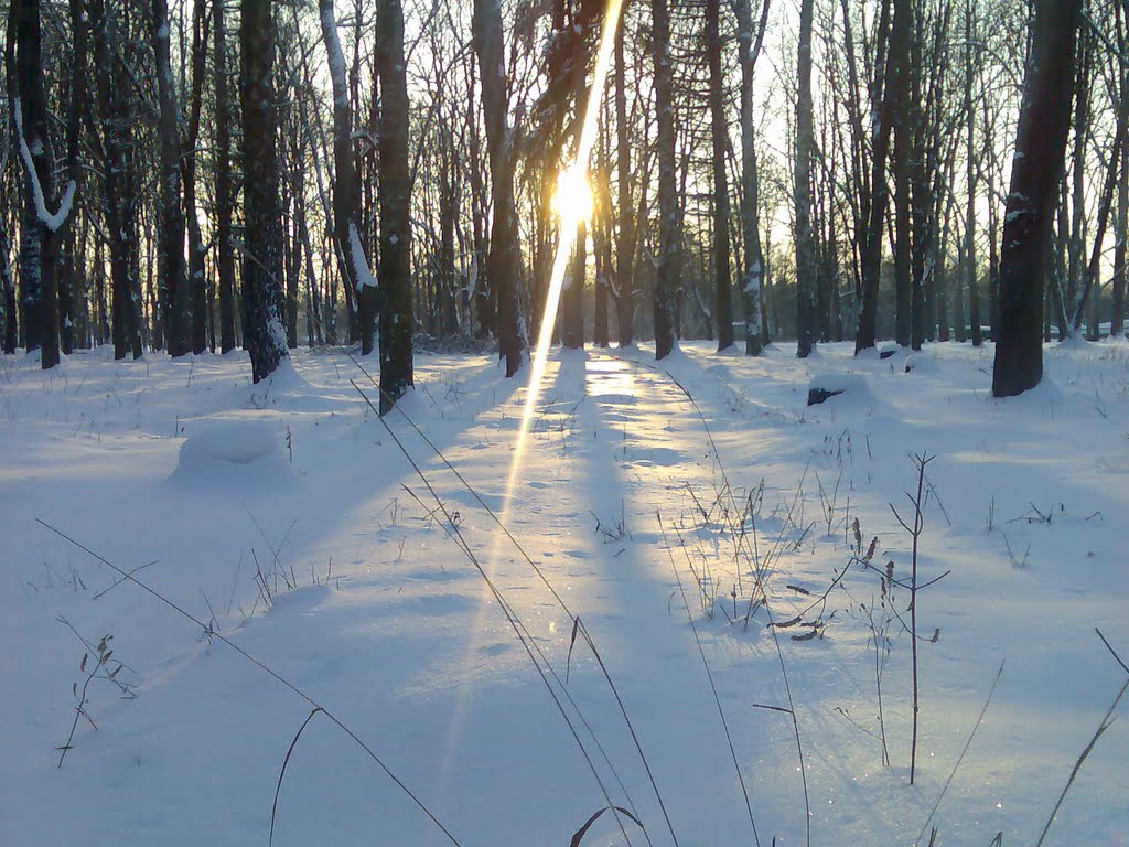 Зимний закат солнца.