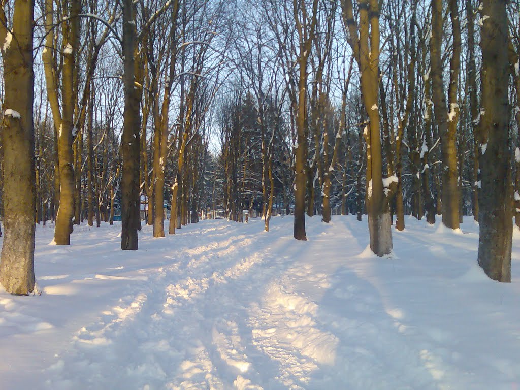 Зимний парк.