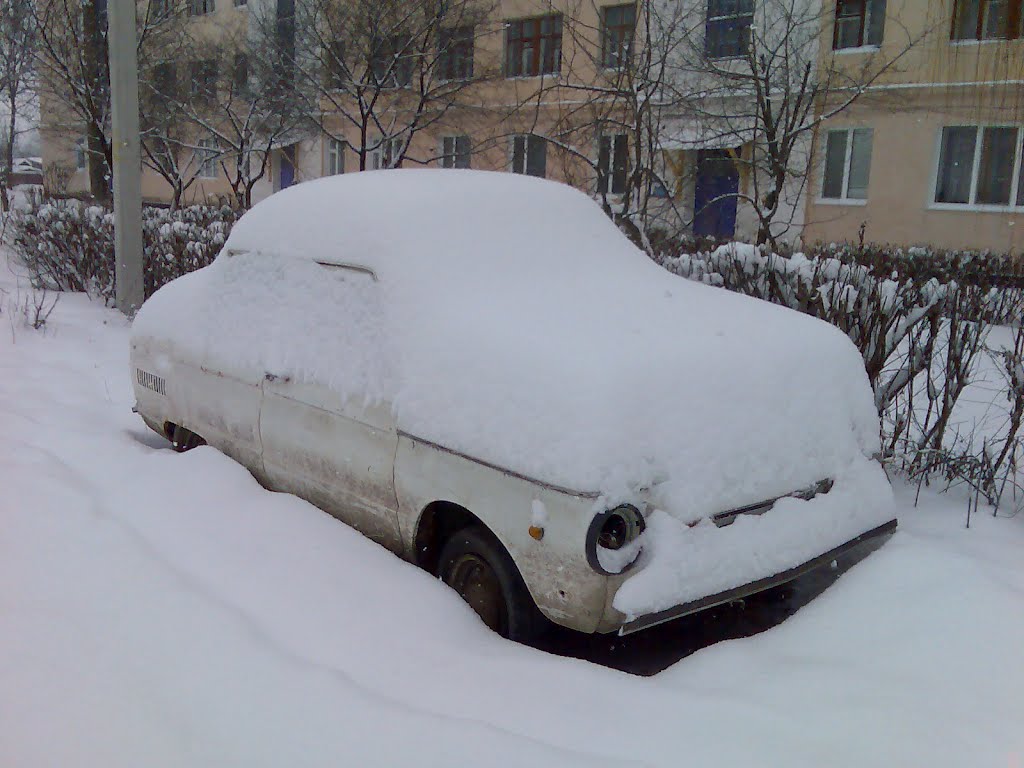 Замело беднягу.