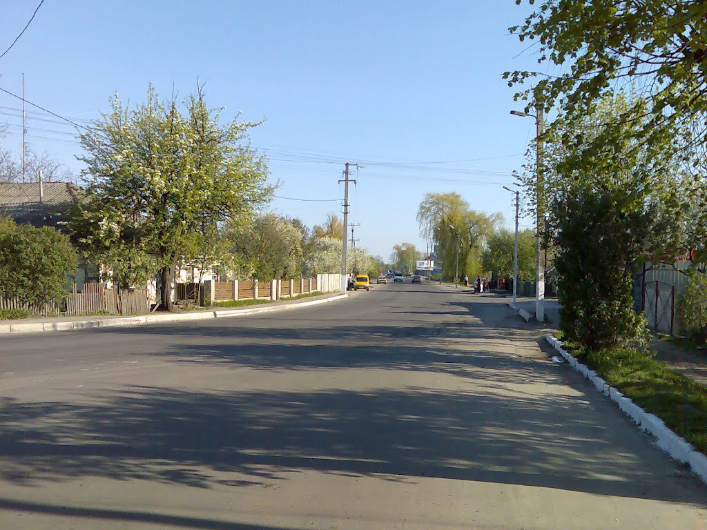 Перекрёсток ул. Октябрьской, 1-го Мая и Закузьминской.