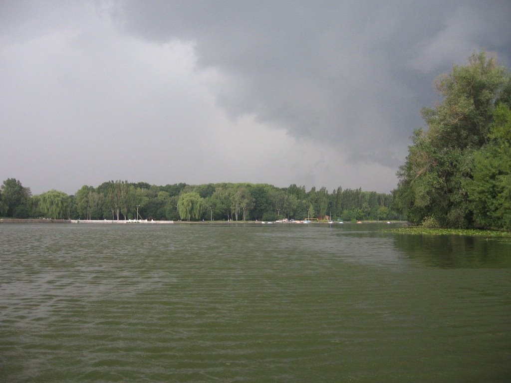 Перед грозой