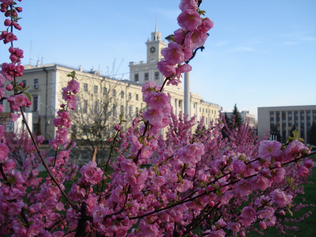 in Khmelnitsky spring