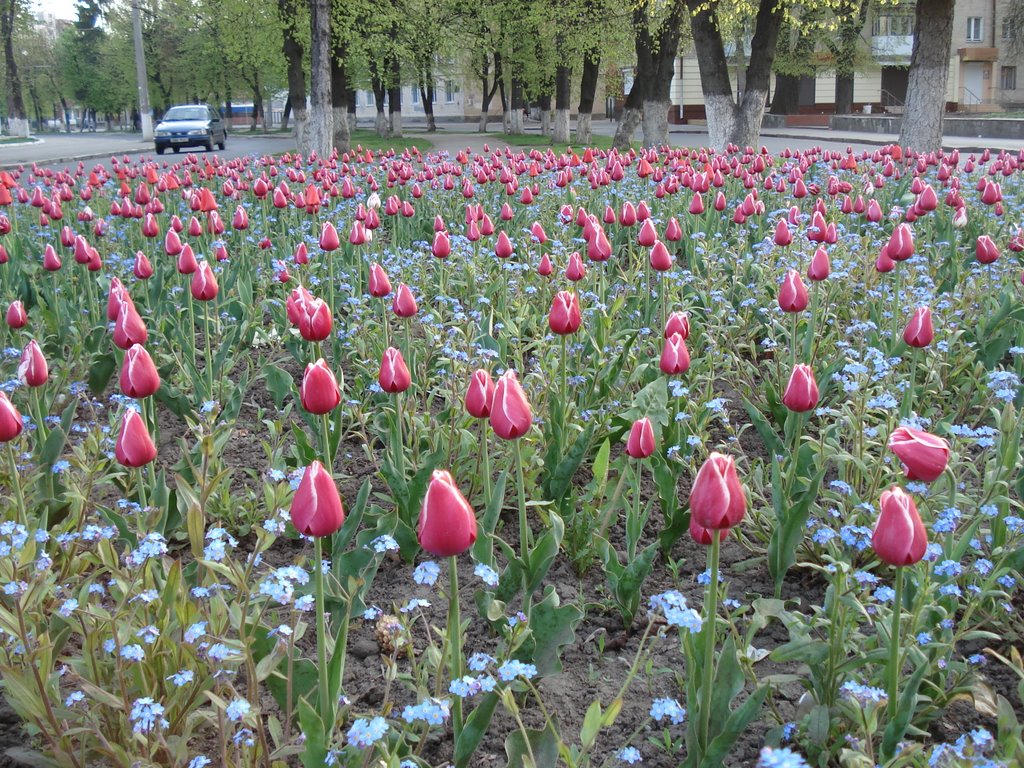 Хмельницкий Весна