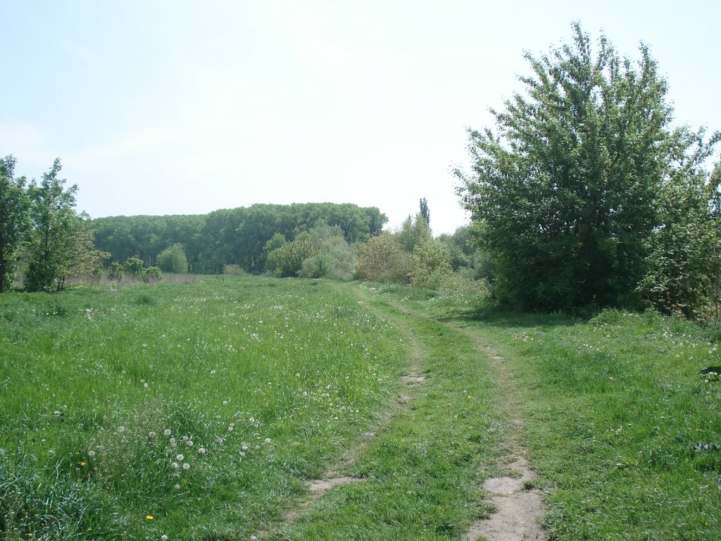 Хмельницкий луг