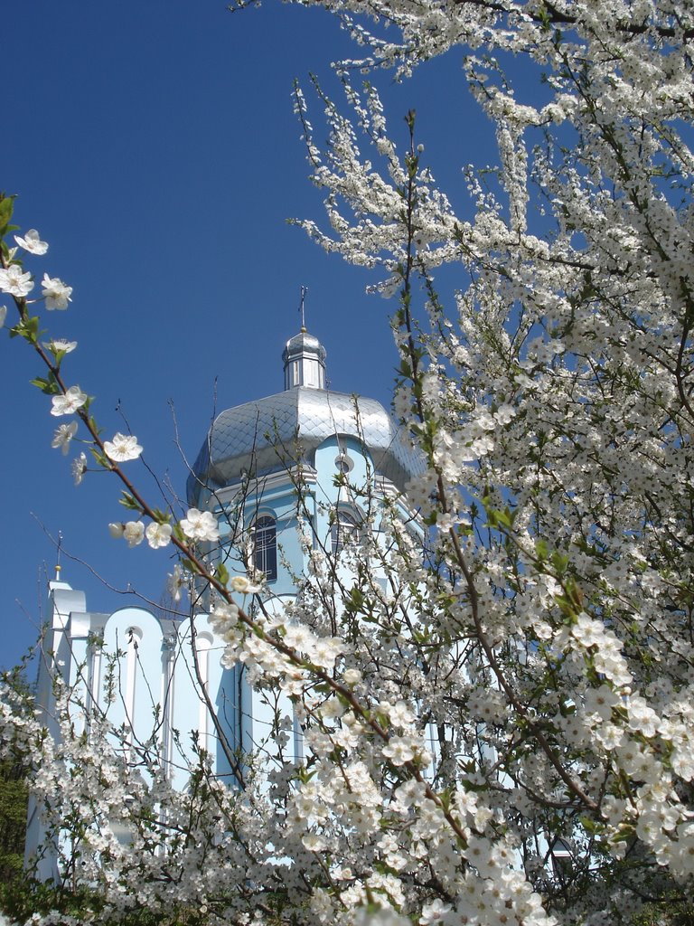 весна на Зарічанській