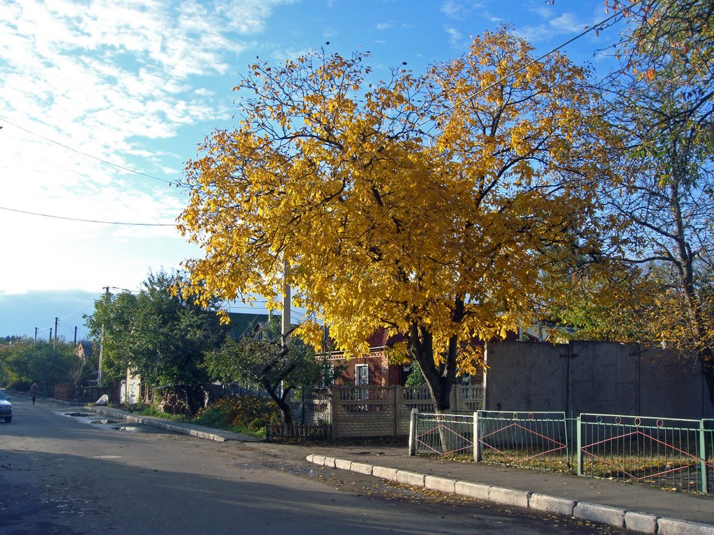 Осень золотая