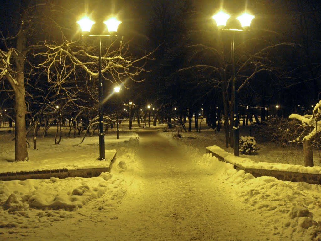Park at night  /  Ночью в парке