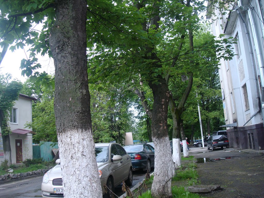 Улица Правды, баня справа