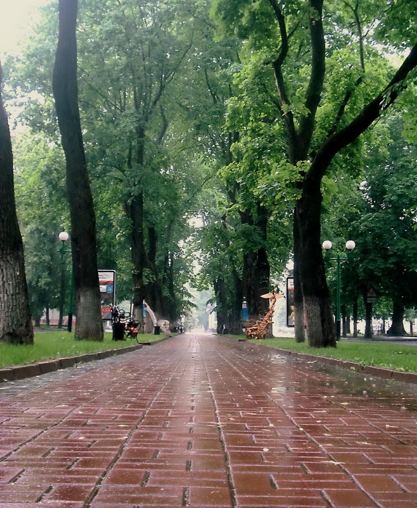 Alley in downtown (Rainy cityscapes)