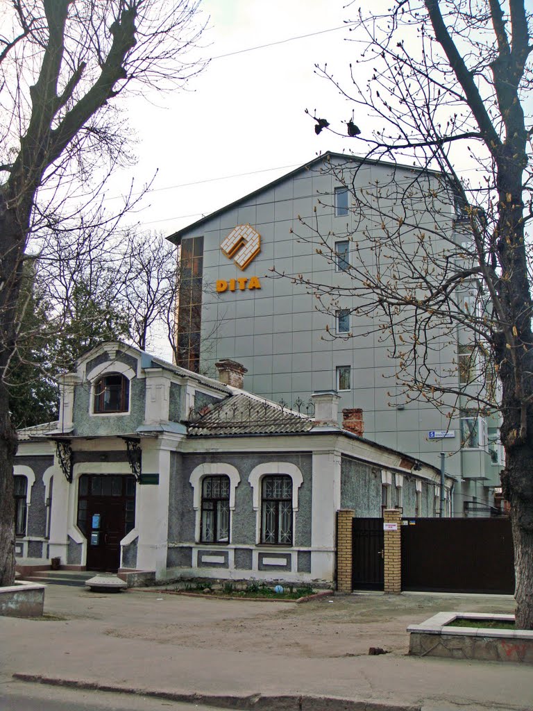 Дита