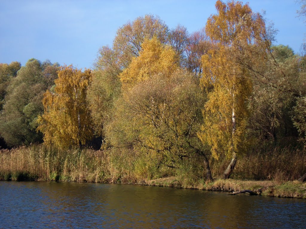 Autumn River Walk1