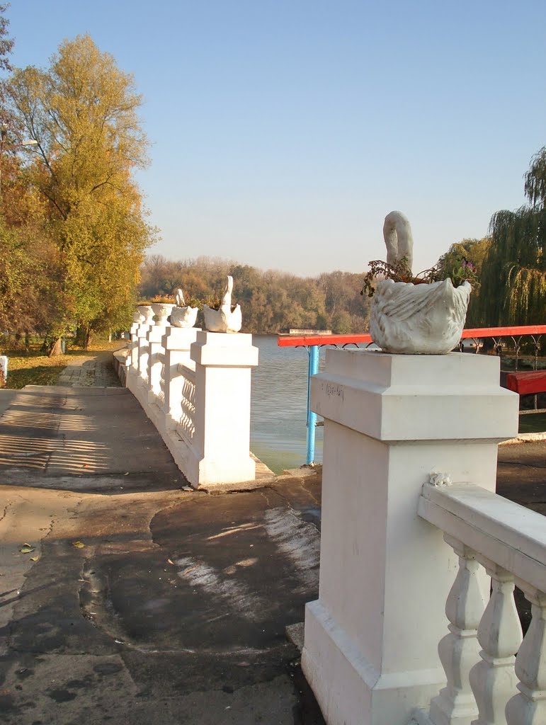Walk in the autumn park