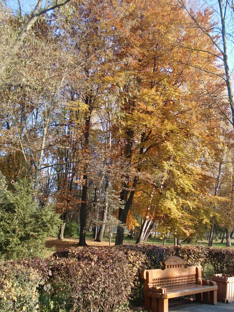 Walk in the autumn park