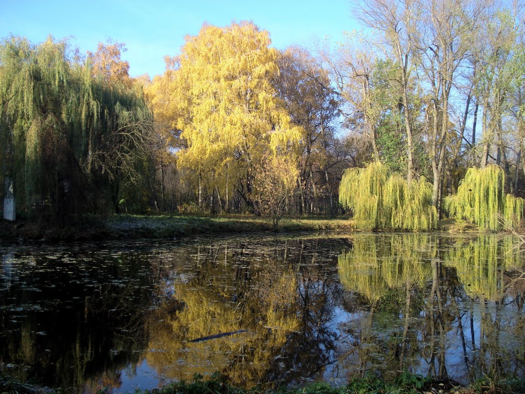 Reflection - Walk in the autumn park