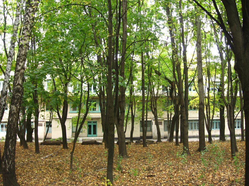 Детская областная больница