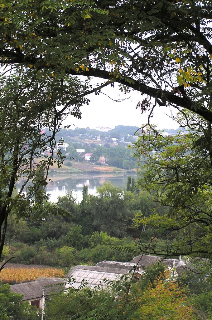 Kutkivtsi