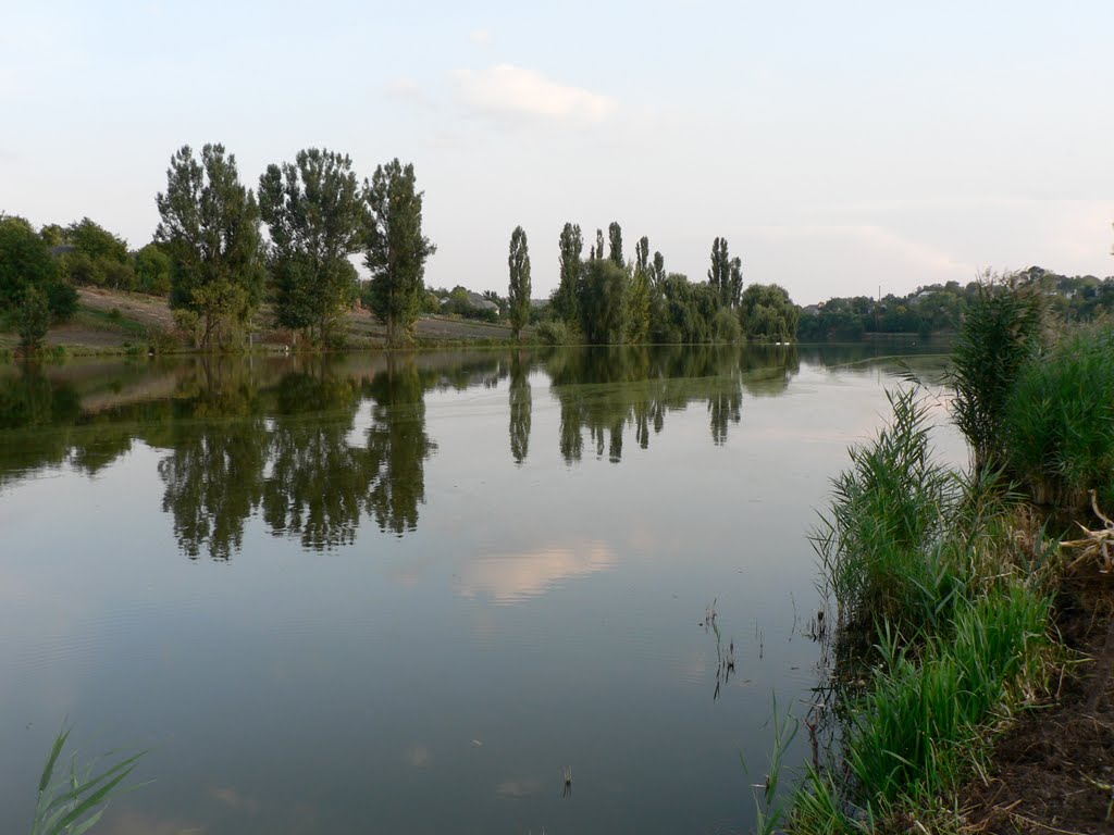 Ставок, рiчка Жванчик, Чемирiвцi, Хмельницька обл.