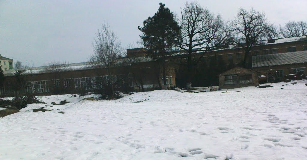 7 школа
