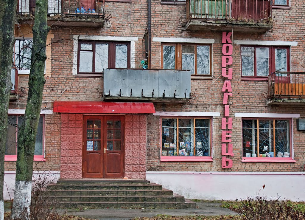 Library in Shepetivka