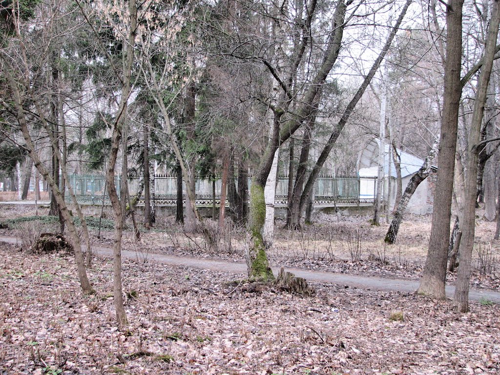 Танцплощадка в городском парке в ожидании открытия сезона. Вид на север.