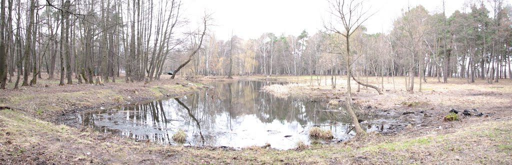Панорама пруда в городском парке. Вид на запад.