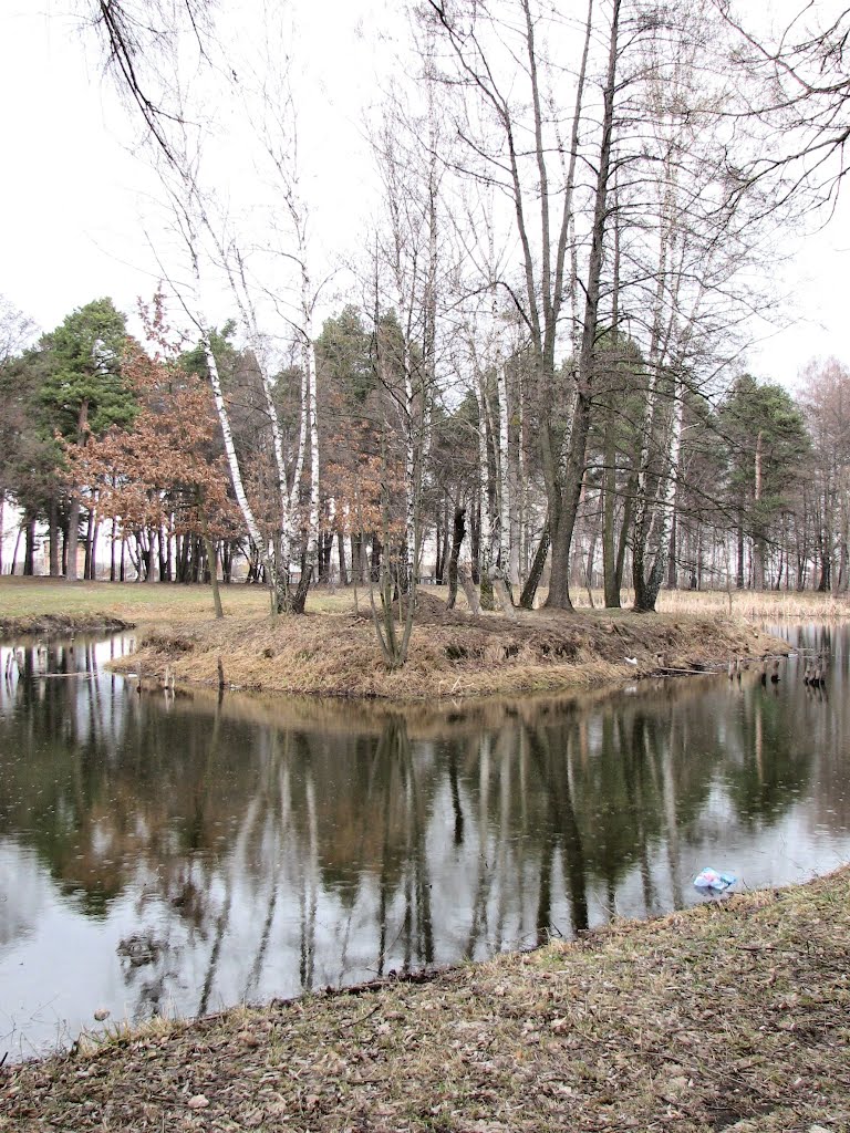 Островок посреди пруда в городском парке. Вид на восток.