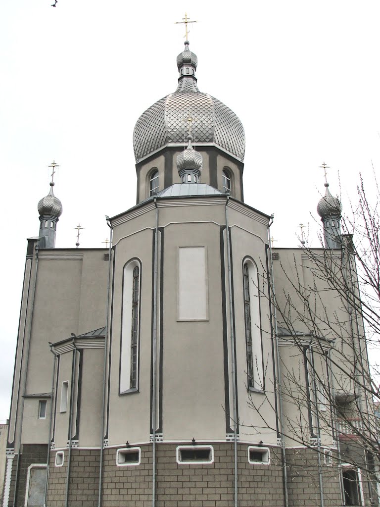 Свято-Михайловский кафедральный собор с тыльной стороны. Вид на запад.