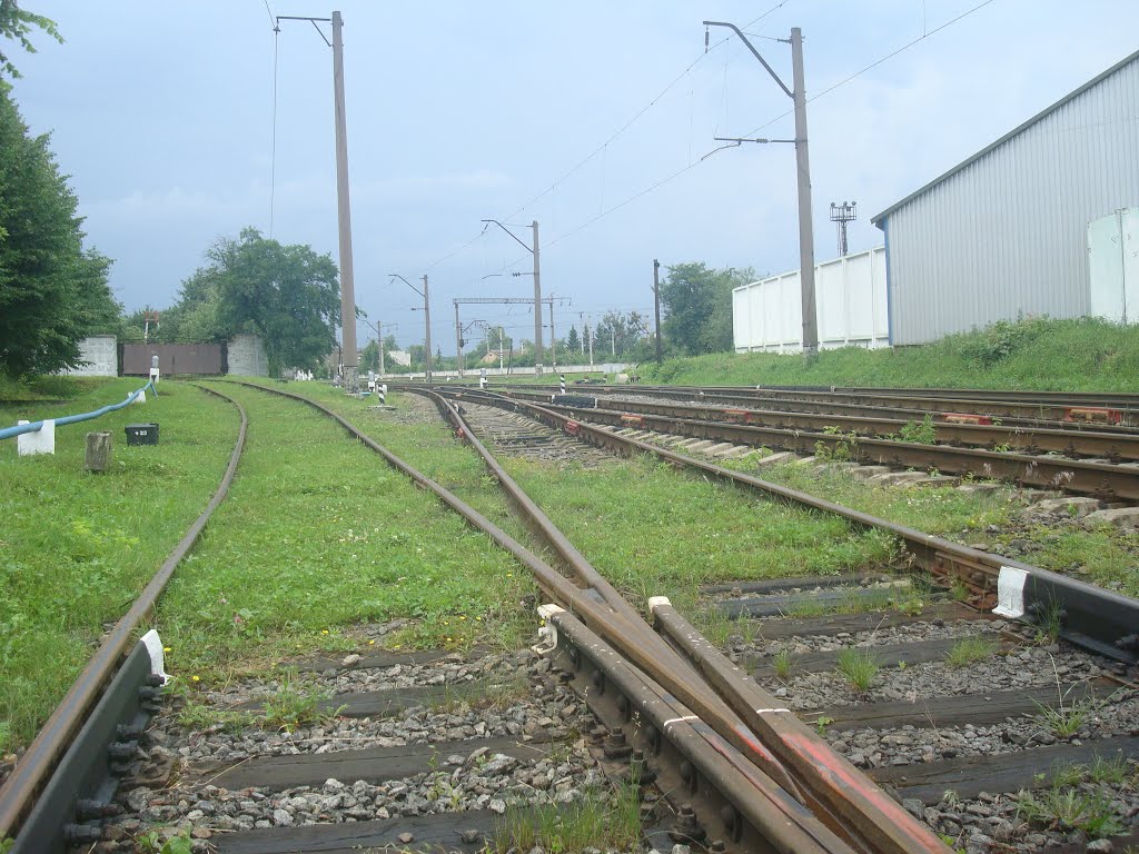 Станция Шепетовка. Вид в сторону Ровно