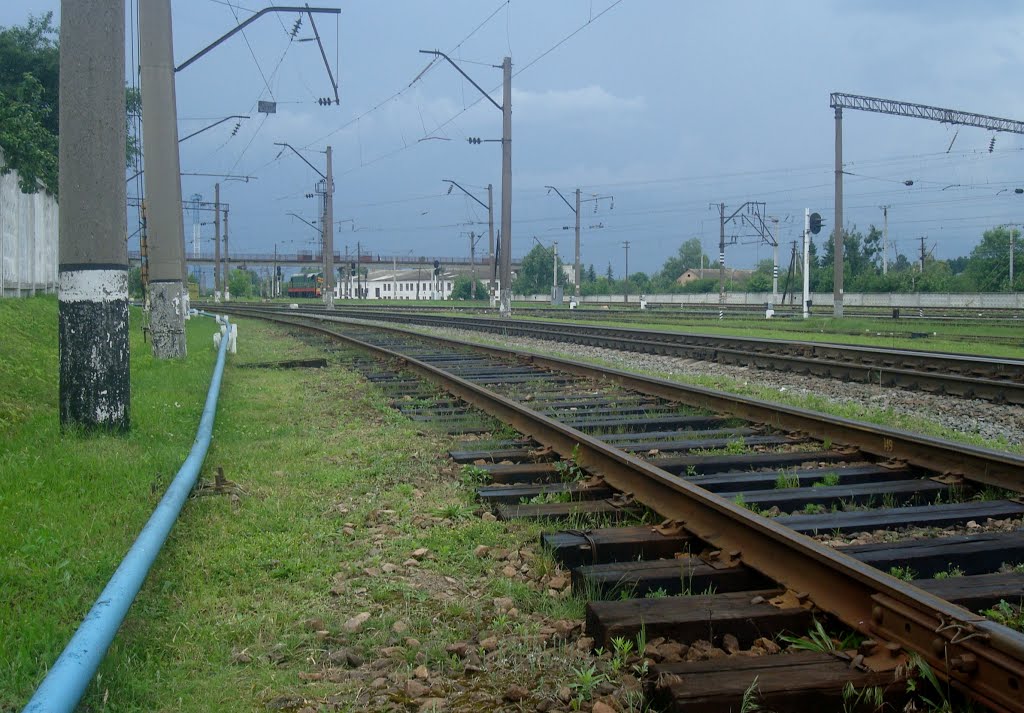 Станция Шепетовка. Вид в сторону Ровно