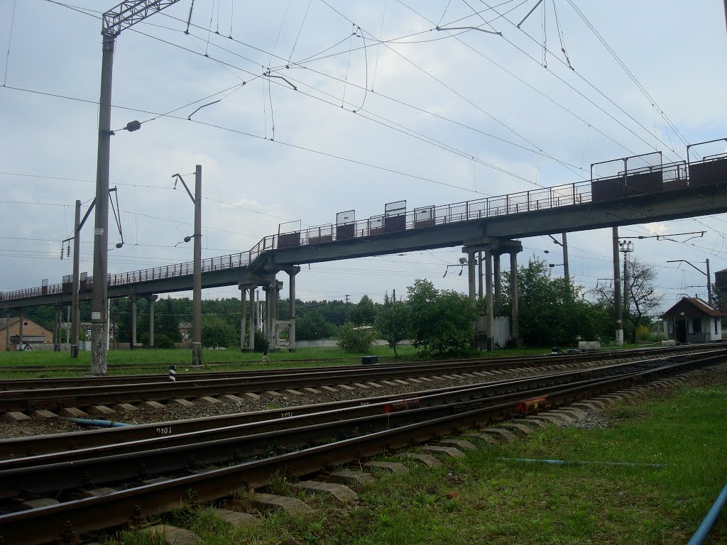 Станция Шепетовка. Пешеходный мост